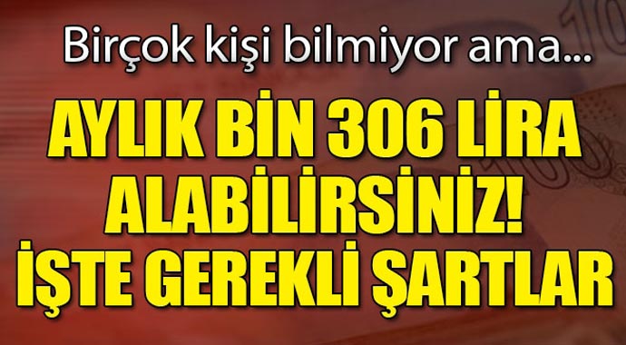 Aylık bin 306 lira alabilirsiniz! İşte gerekli şartlar