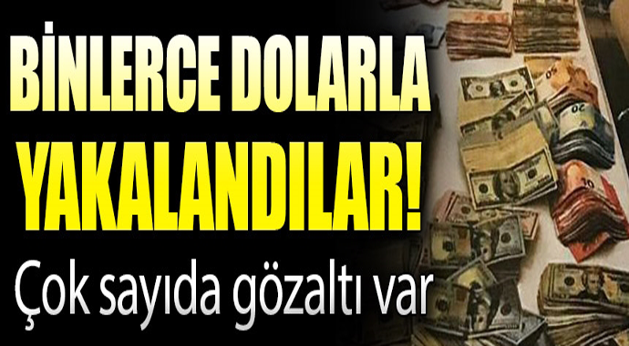 Binlerce dolarla yakalandılar! Çok sayıda gözaltı var 