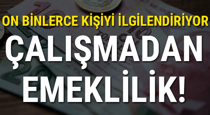 Çok sayıda kişiyi ilgilendiriyor, çalışmadan emeklilik!