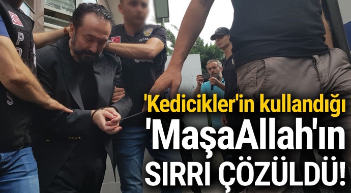 Kediciklerin kullandığı 'MaşaAllah'ın' sırrı çözüldü