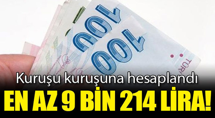 Kuruşu kuruşuna hesablandı! En az 9 bin 214 TL!