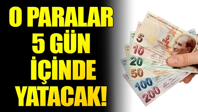 Müjde! Paralar 5 gün içinde yatacak