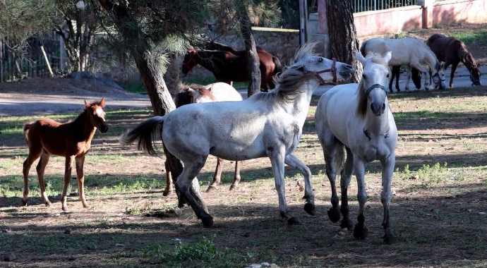 Ruam Nedir? Ruam Hastalığı Belirtileri Nelerdir?