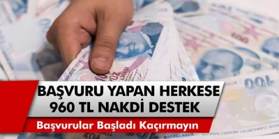 E-Devlet Üzerinden Başvuru Yapanlara 960 TL Nakdi Yardım Yapılacağı Duyuruldu…