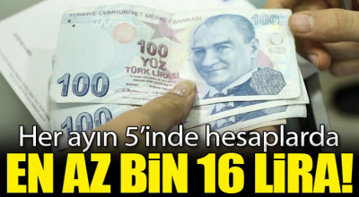 Her ayın 5'inde hesablarda! En az Bin 16 Lira