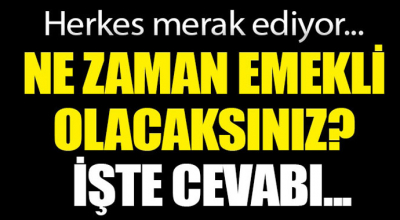 Ne zaman emekli olacaksınız? İşte cevabı...