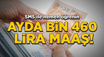 SMS'le Aylık 1.460 TL Ödeme Nasıl Alınır? Nasıl Başvuru Yapılır?