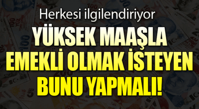 Yüksek maaşlı emeklilik için bunları yapmanız yeterli